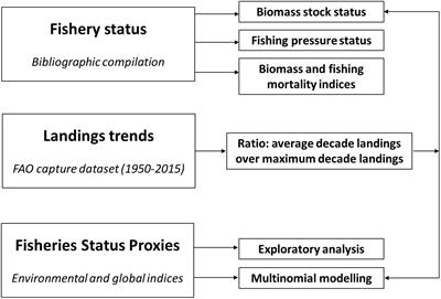 Sustainability Status of Data-Limited Fisheries: Global Challenges for Snapper and Grouper